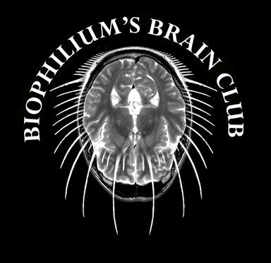 Brain Club